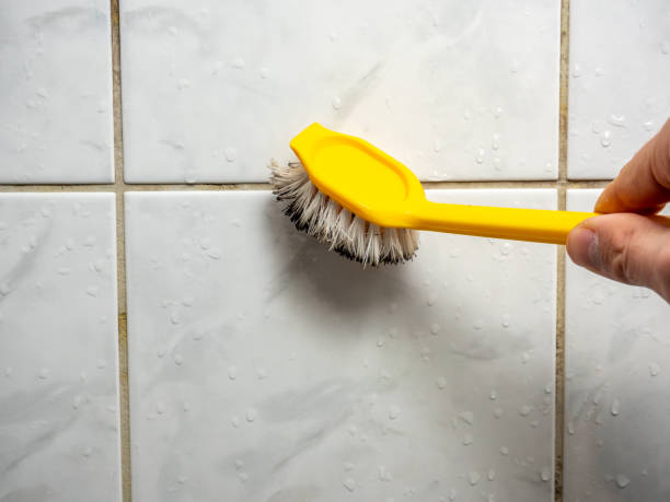 Best Health and Safety Mold Remediation in Secaucus, NJ