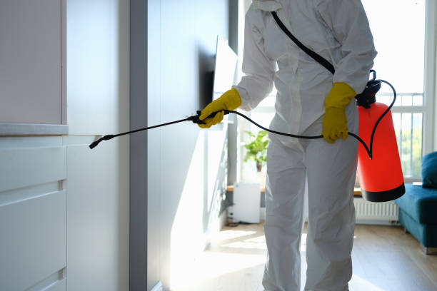 Best Post-Flood Mold Remediation in Secaucus, NJ