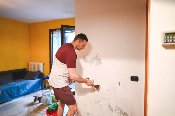 Best Mold Testing and Inspection Services in Secaucus, NJ