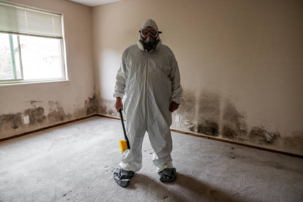Best Preventive Mold Services in Secaucus, NJ